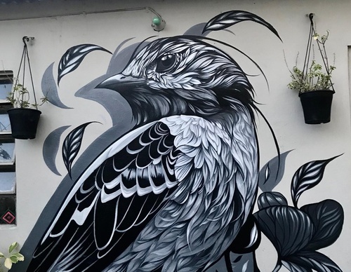 Gallery Of Street Art By Fio Silva - Argentina