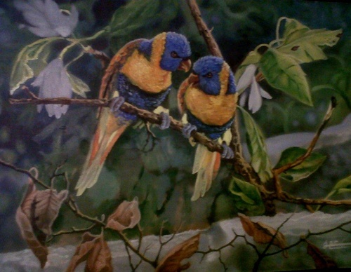 jorge castrillon