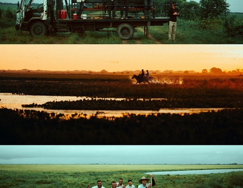 Gallery Of Photography By Luke - United Kingdom