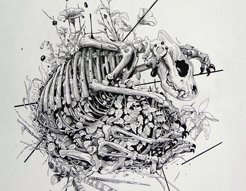 Galería De Ilustración De David Piñón - México