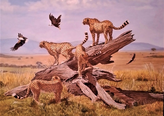 Galería de Pintura de Jorge Castrillón - Argentina