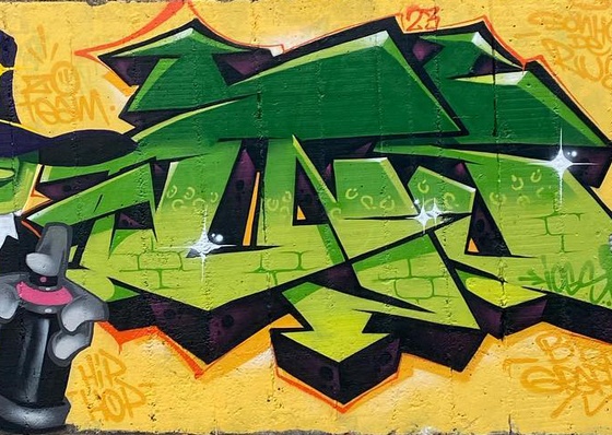 Gallery Of Street Art By Romulo Gnok - Brazil
