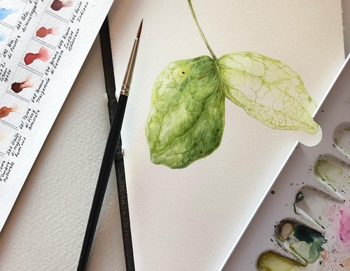 Gallery of Drawing by GiacoMina Ferrillo-Italy