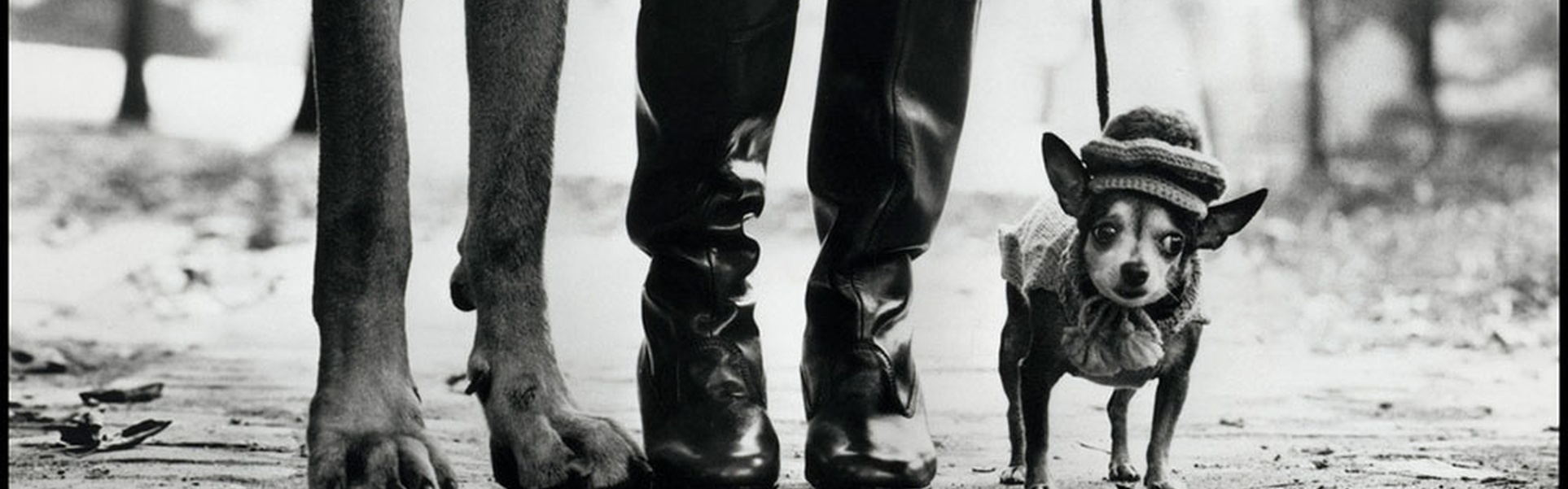 Capturing Life’s Wit: Gallery of Elliott Erwitt, American Photographer