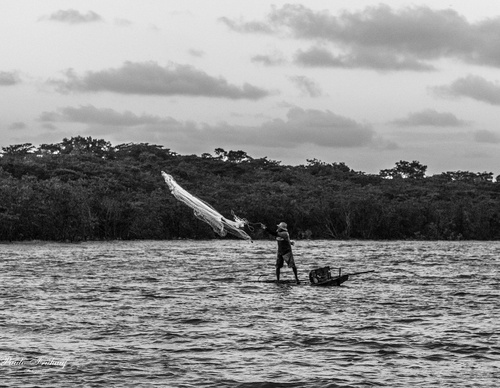 Gallery Of Photography By Norberto Kreutzer Fruhauf - Brazil