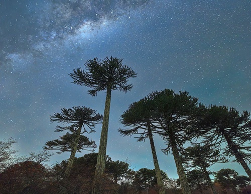 Gallery Of Photography By Jaime Garcés - Chile