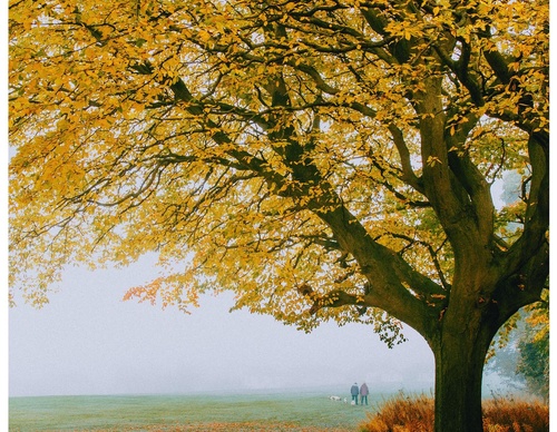 Gallery Of Photography By Daniel Casson - United Kingdom
