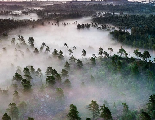 Gallery Of Photography By Mads Peter - Danish