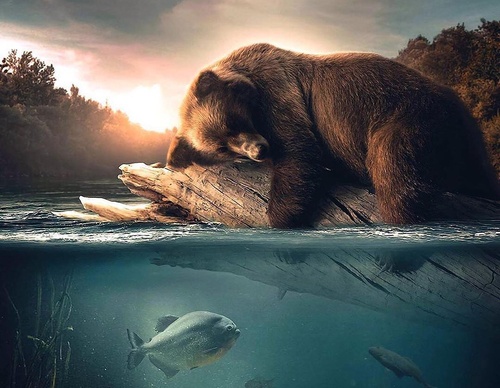 Galería de fotografías de Evgeny Gammer - Rusia