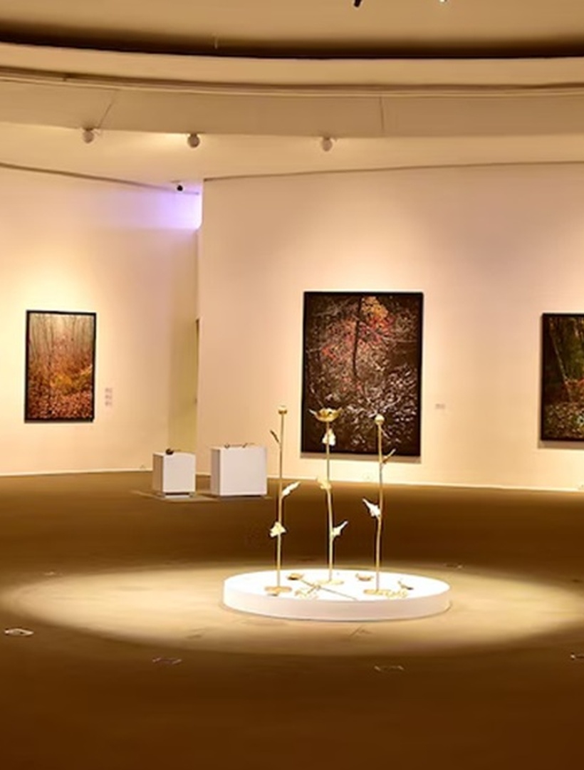 Edo Costantini Exhibition at MAC Niterói in Brazil