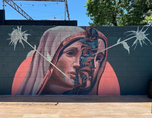 Gallery Of Street Art By Kiki - Brazil