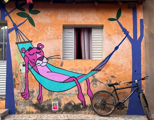Gallery Of Street Art By Rafael Sliks - Brazil