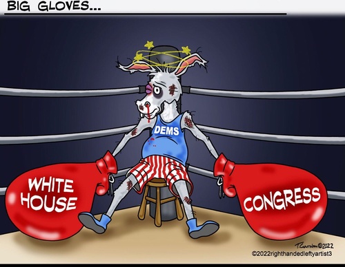 righthandedlefty