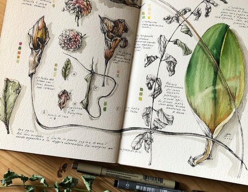 Gallery of Drawing by GiacoMina Ferrillo-Italy