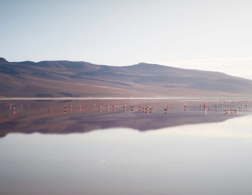 Galeria de Fotografia de Andres Valle - México