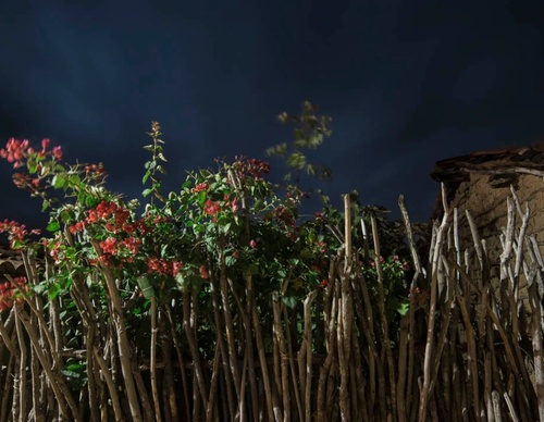 Gallery of photography by Gustavo Bettini-Brazil