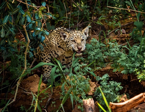 Gallery Of Photography By Fernando Faciole - Brazil