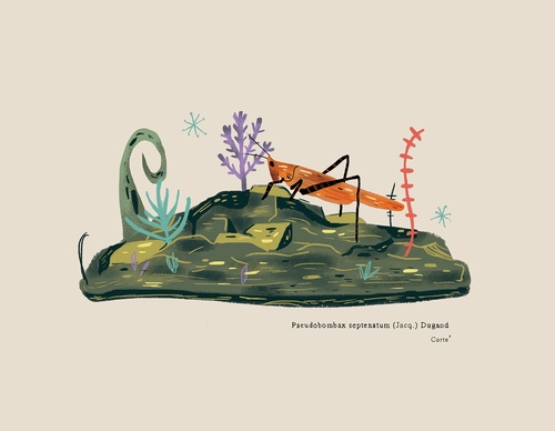 Gallery Of Illustration By Juliana Cuervo - Colombia