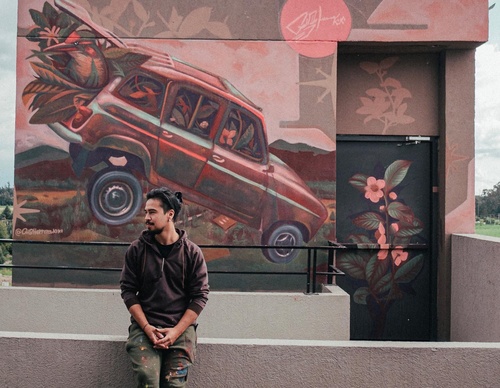 Gallery Of Street Art By Kiki - Brazil