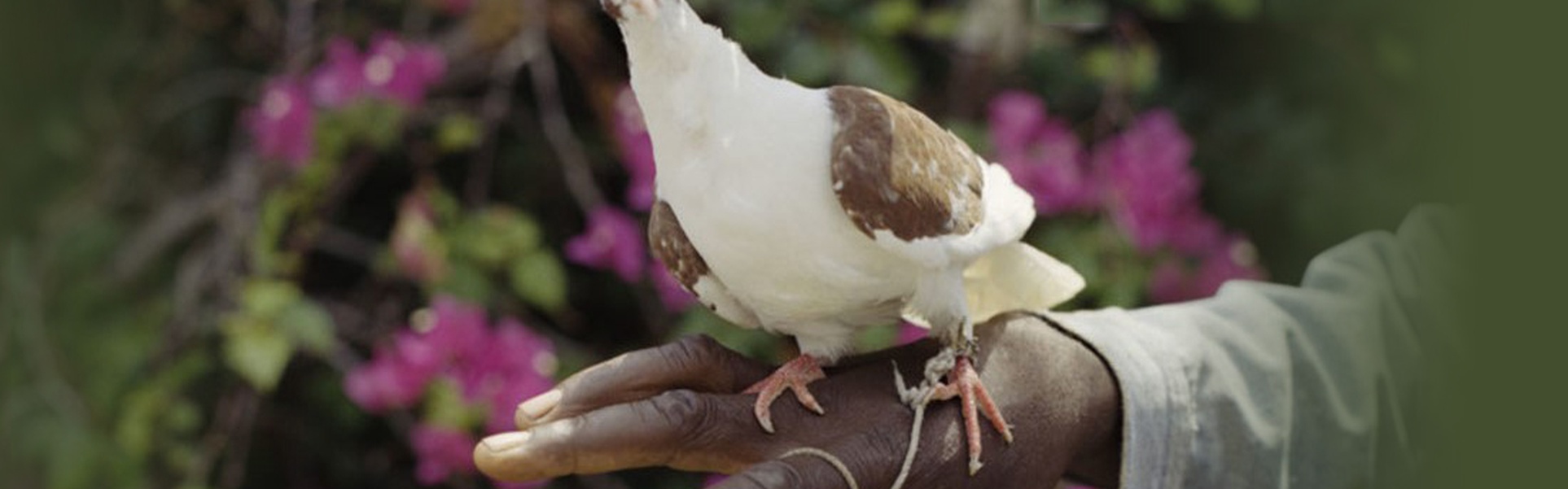 Gallery of Photography by Gregory Halpern – USA