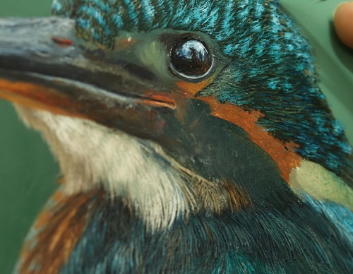 Galería de pintura realista de Annie Drew - Reino Unido