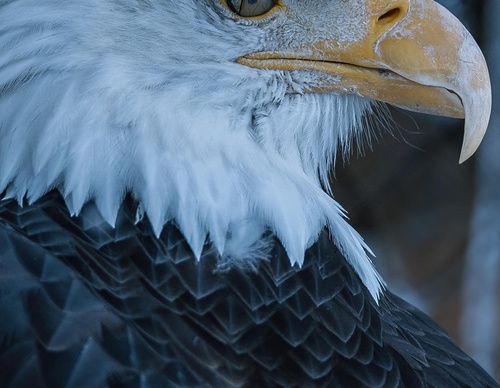 Gallery Of Photography By Chris Henry - USA