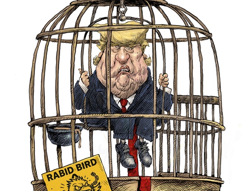 Trump, el pájaro rabioso