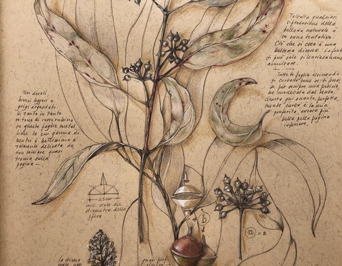 Gallery of Drawing by GiacoMina Ferrillo-Italy