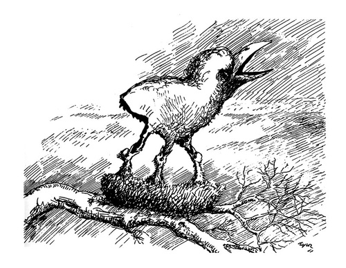 roland topor france