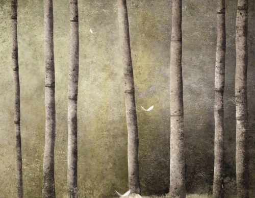 gabriel pacheco