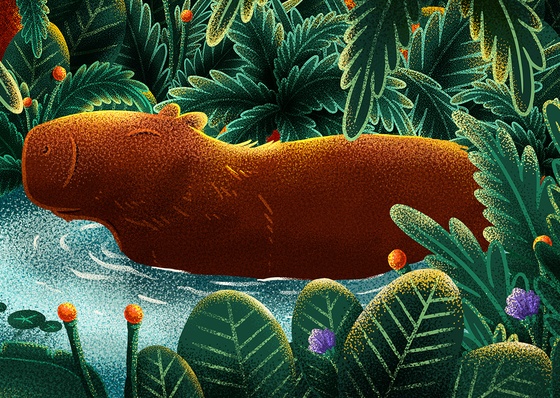 Gallery Of Illustration By Alan Berry Rhys - Argentina