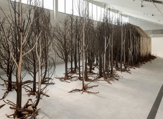 Doris Salcedo