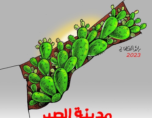 raed yousef qatanani