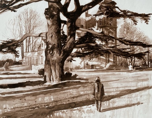 Galeria de Desenho de Andreas Vanpoucke-Bélgica