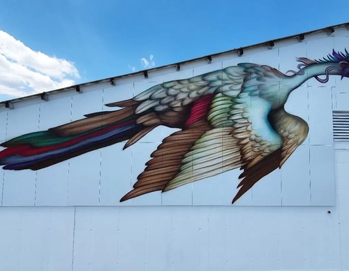 Gallery Of Street Art By Bailon - Brazil