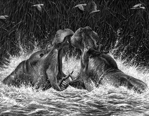 Gallery of Illustration by Ricardo Martinez-Chile
