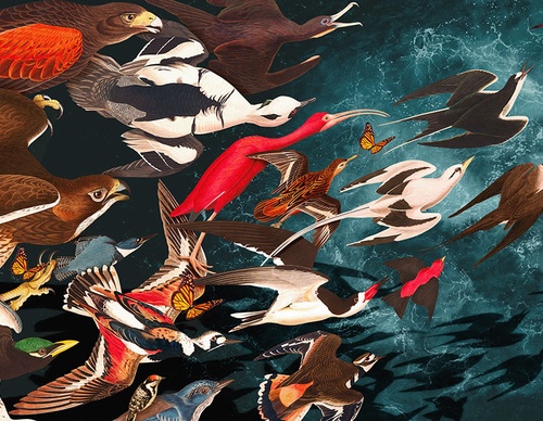 guillermo flores pacheco