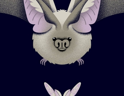 Gallery Of Illustration By Cat Finnie - England