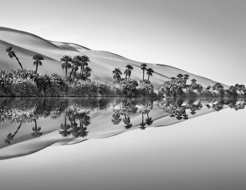 Galeria de Fotografia de Sebastião Salgado-Brasil