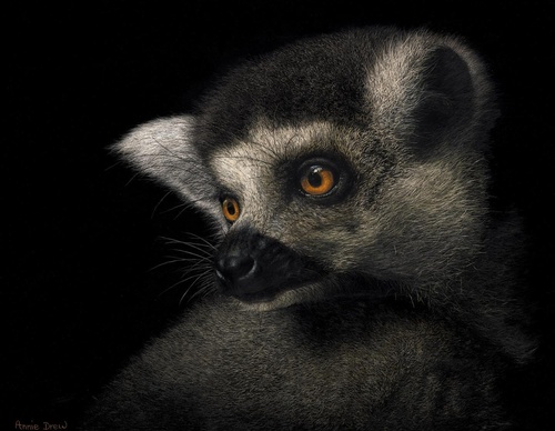 Galería de pintura realista de Annie Drew - Reino Unido