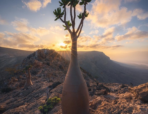 Gallery Of Photography By Marco Grassi - Argentina