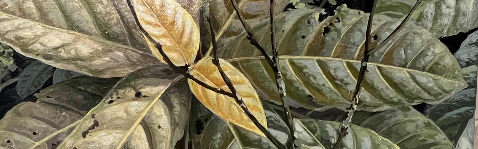 Gallery Of Painting By Maurício Barbato-Brazil