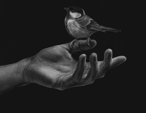 Gallery Of Realistic Painting By Emma Towers Evans - Brazil