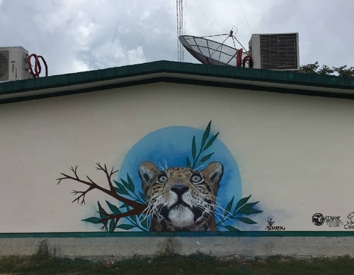 Galería de arte callejero de Nashi Bime - México