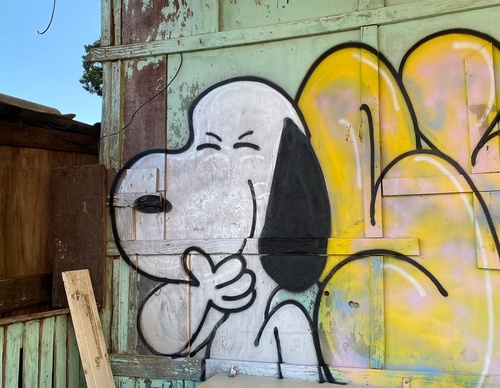 Gallery Of Street Art By Rafael Sliks - Brazil