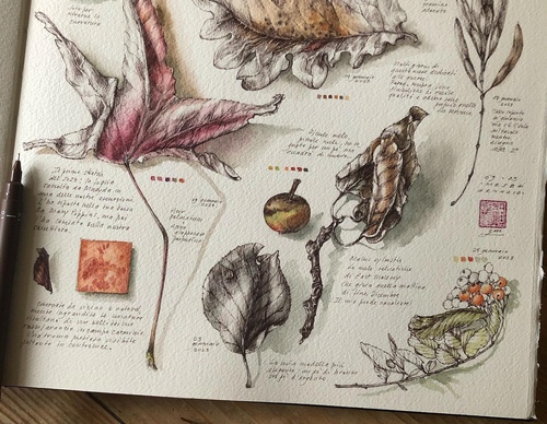 Gallery of Drawing by GiacoMina Ferrillo-Italy