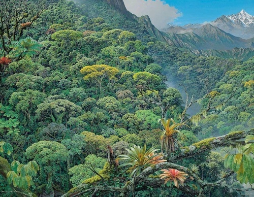 Gallery Of Painting By Maurício Barbato-Brazil
