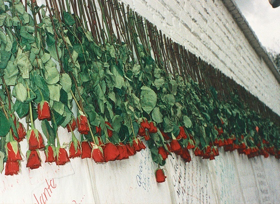 Doris Salcedo