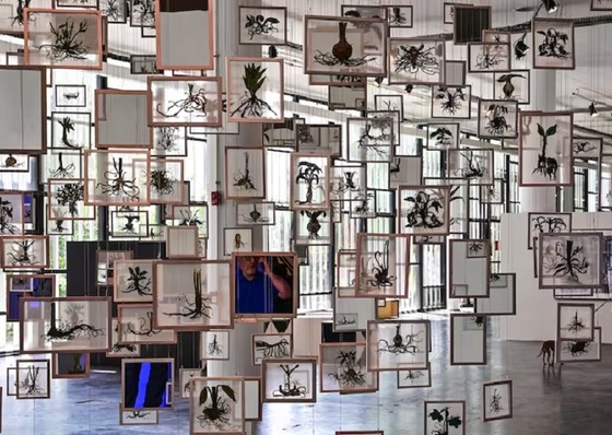 “Desafiar lo imposible”: la consigna de la Bienal de San Pablo para los próximos tres meses