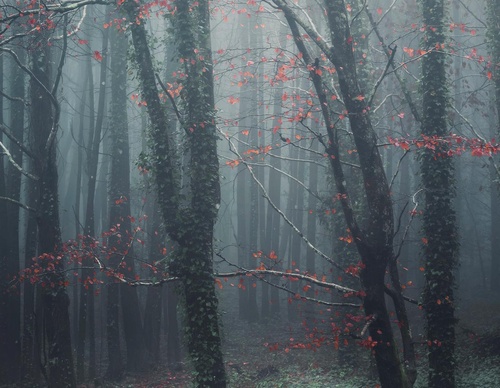 Galería de fotografía de Jorge Reinaldo - Portugal